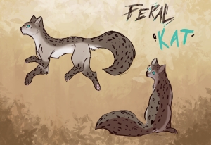 Feral Cat Kat