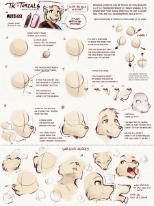 Muzzles
