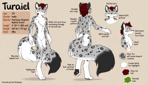 Turaiel Ref Sheet (Art by Twokinds)