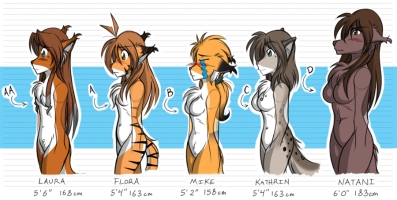 Twokinds Bust Size Chart